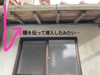 邑智郡川本町 害獣の御相談